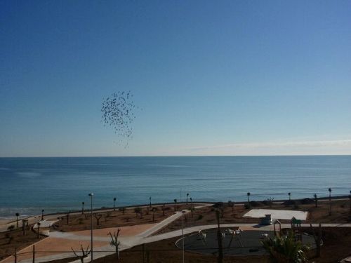 Vistas desde las viviendas al mar