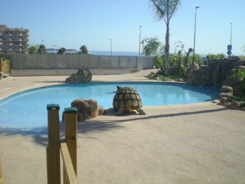 Piscina infantil